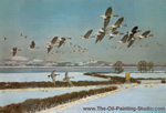 A Red-Brested Goose painting for sale