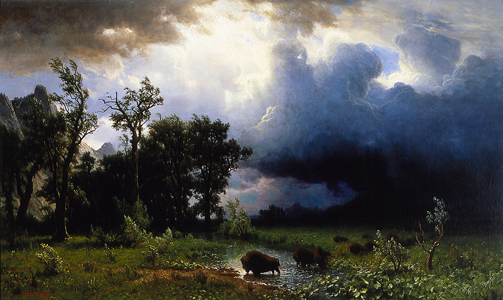 Albert Bierstadt Buffalo Trail, The Impending Storm oil painting reproduction