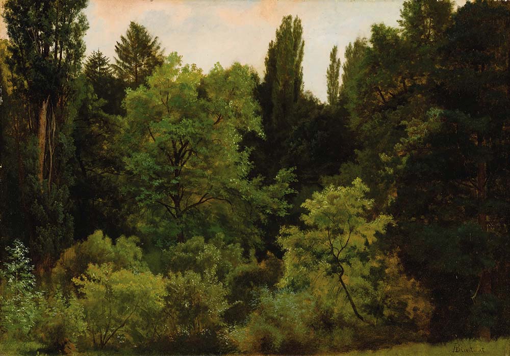 Albert Bierstadt Deep in the Rockies oil painting reproduction
