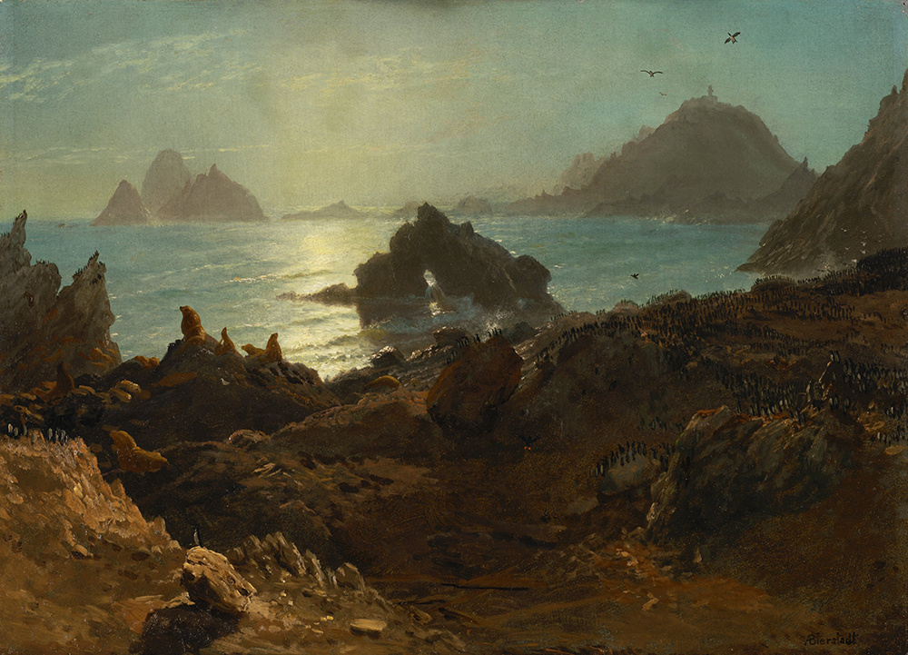 Albert Bierstadt Farallon Islands (1872) oil painting reproduction