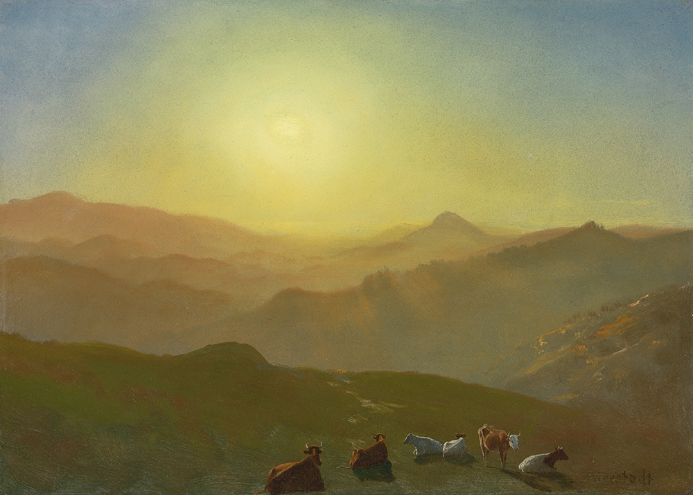 Albert Bierstadt Looking from the Shade on Clay Hill (1873) oil painting reproduction