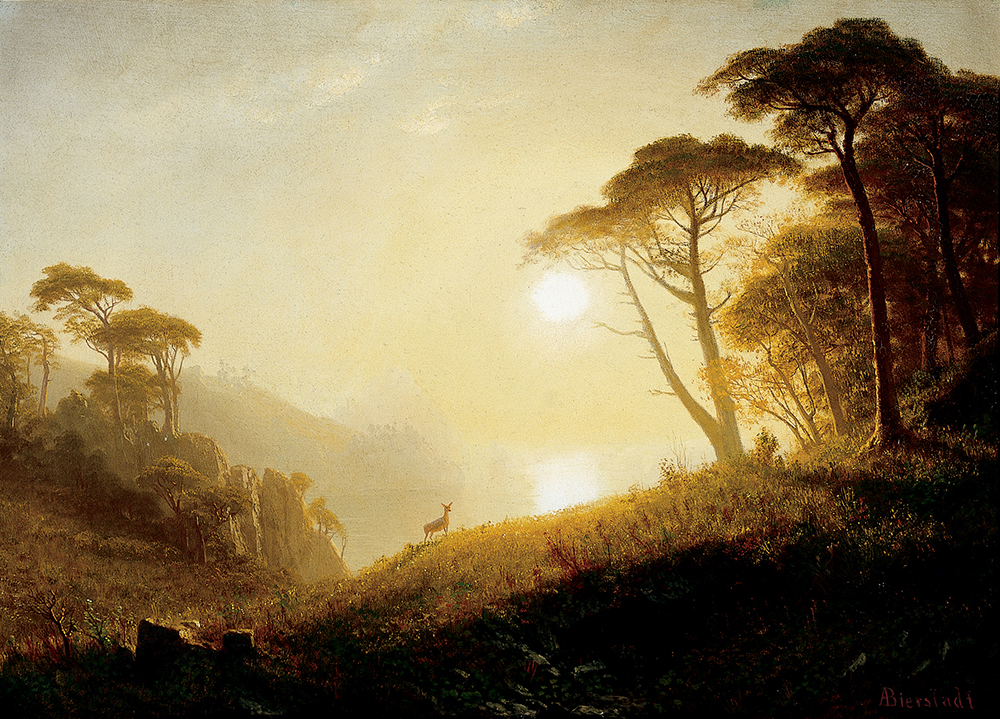 Albert Bierstadt Scene in Yosemite Valley oil painting reproduction