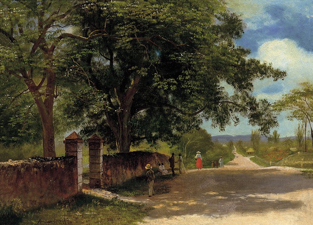 Albert Bierstadt Street in Nassau oil painting reproduction