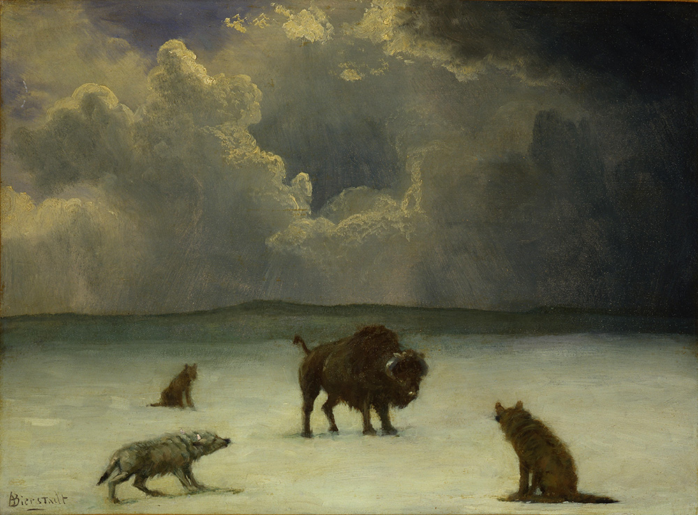 Albert Bierstadt Trapped oil painting reproduction