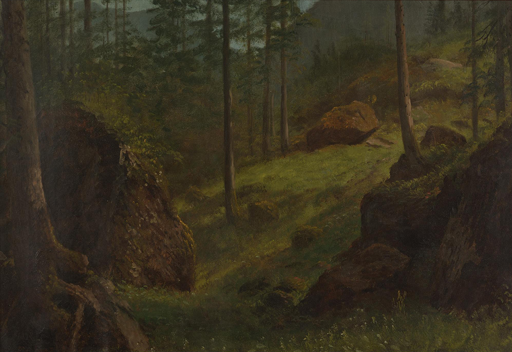 Albert Bierstadt Wooded hillside oil painting reproduction