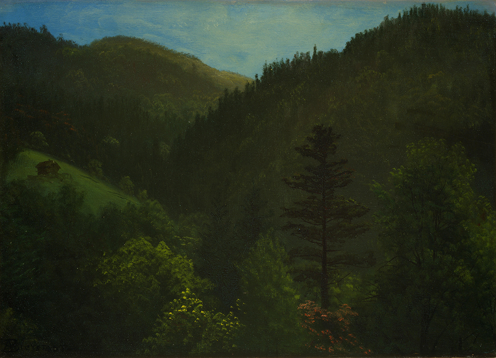 Albert Bierstadt Wooded Landscape oil painting reproduction
