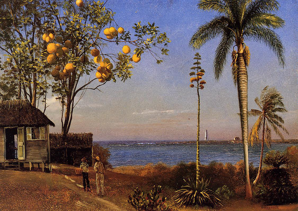 Albert Bierstadt A View in the Bahamas oil painting reproduction