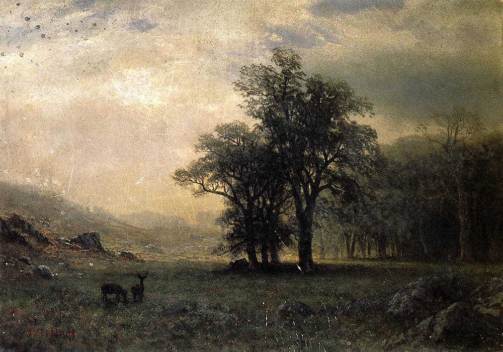 Albert Bierstadt Deer in a Landscape oil painting reproduction