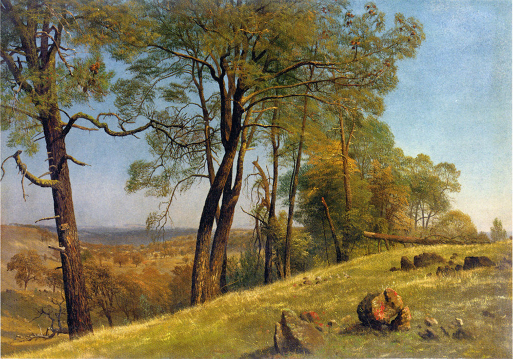 Albert Bierstadt Landscape Rockland County California oil painting reproduction