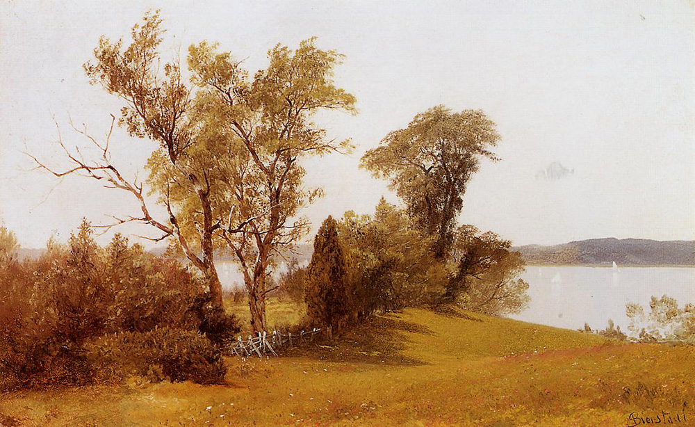 Albert Bierstadt Sailboats on the Hudson at Irvington oil painting reproduction