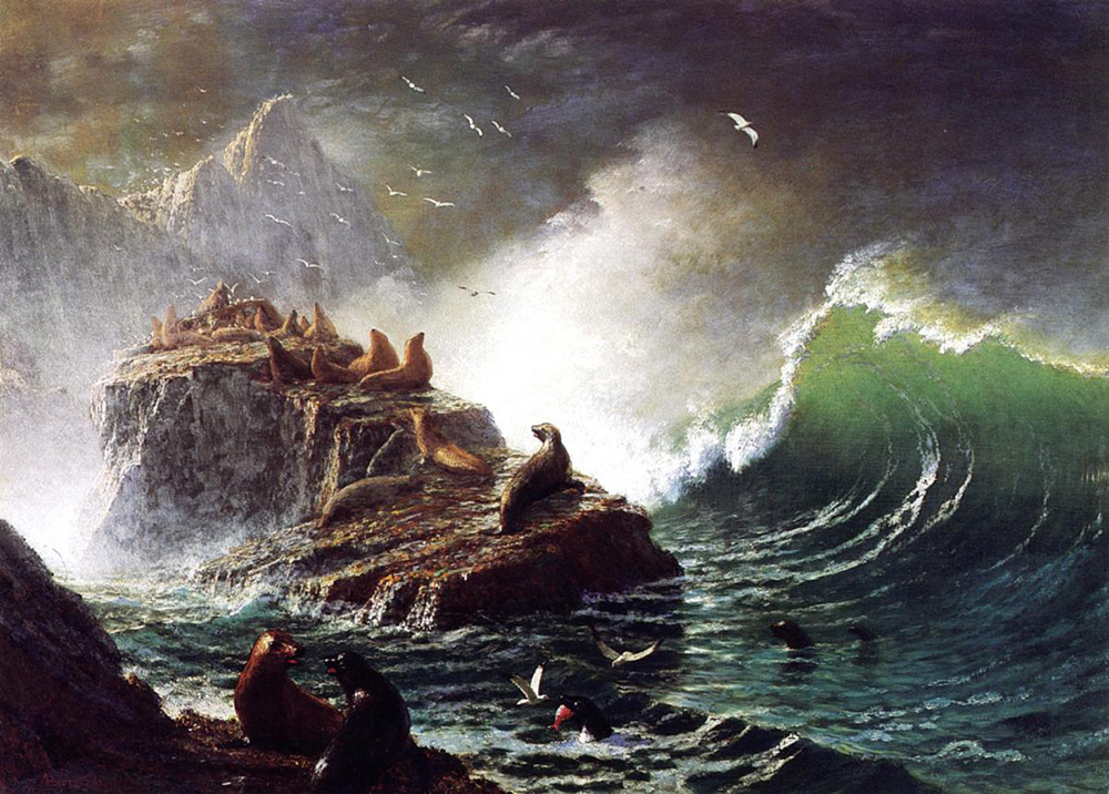 Albert Bierstadt Seals on the Rocks Farallon Islands oil painting reproduction
