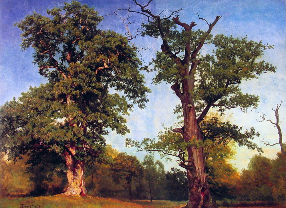 Albert Bierstadt Pioneers of the Woods oil painting reproduction