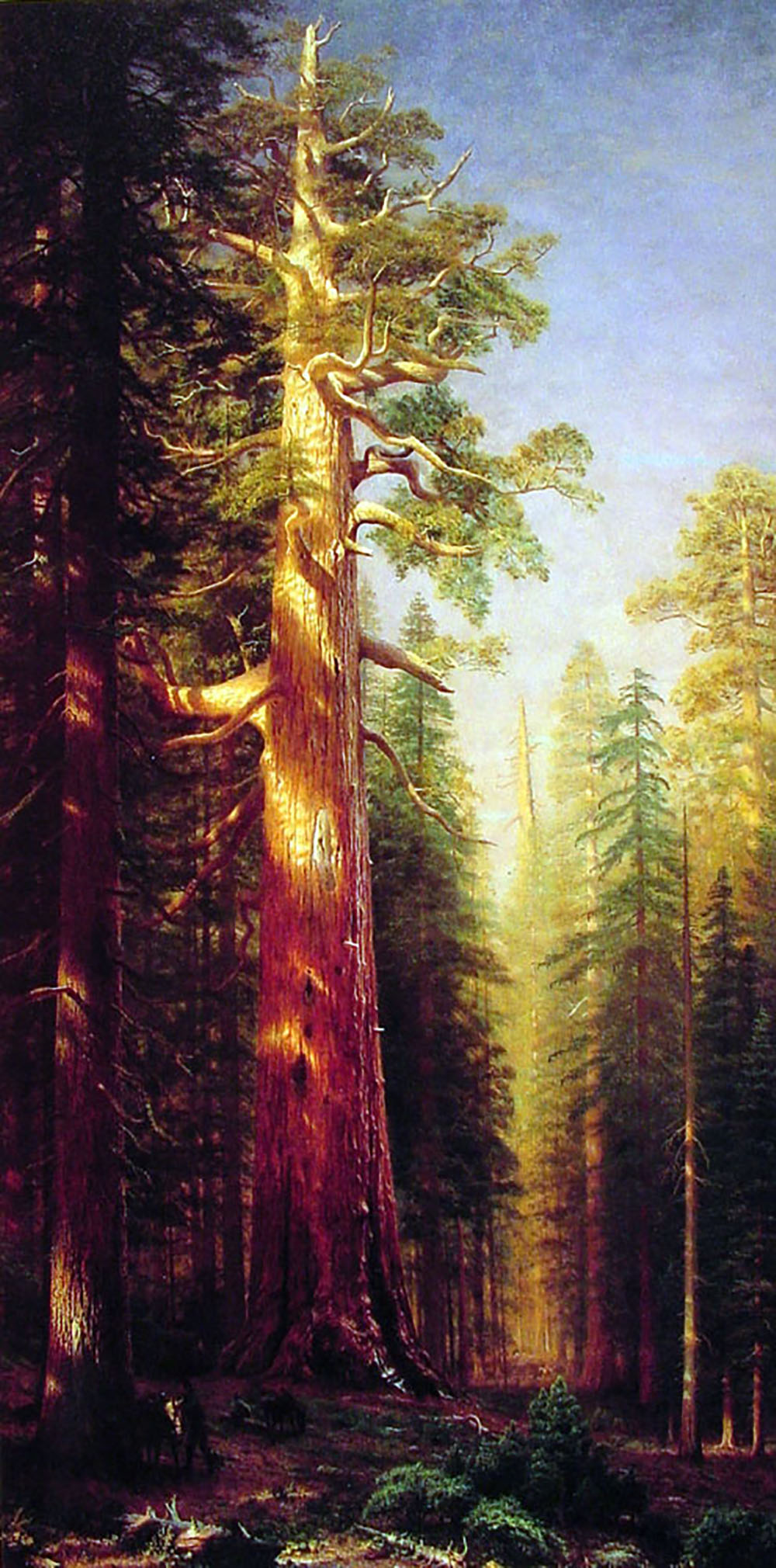 Albert Bierstadt The Great Trees oil painting reproduction