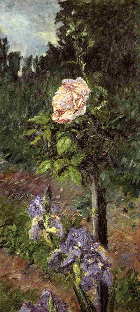 Gustave Caillebotte Rose with Purple Iris, Garden at Petit Gennevilliers - 1892  oil painting reproduction