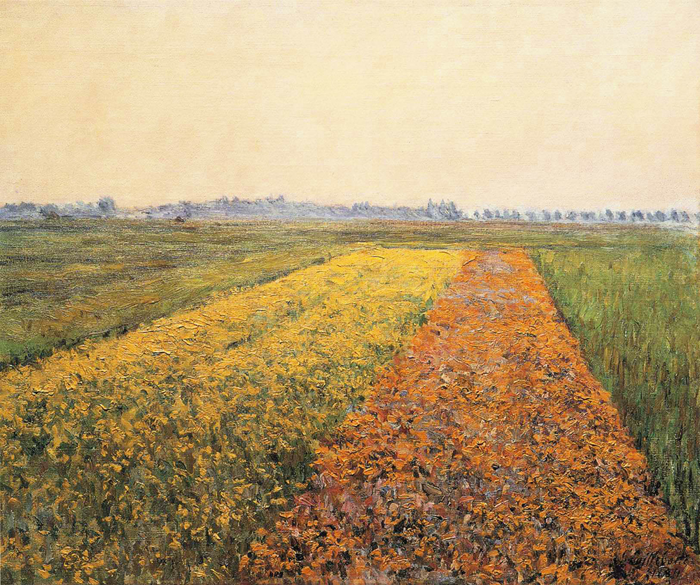Gustave Caillebotte The Yellow Fields at Gennevilliers - 1884 oil painting reproduction