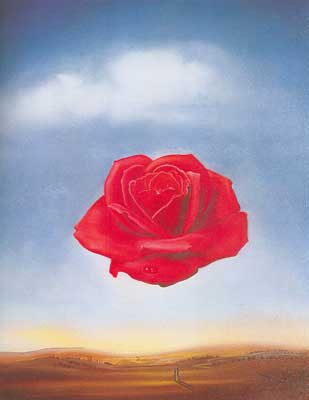 Salvador Dali Meditative Rose oil painting reproduction