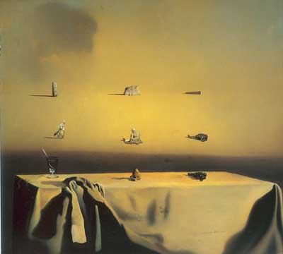 Salvador Dali Morphological Echo oil painting reproduction