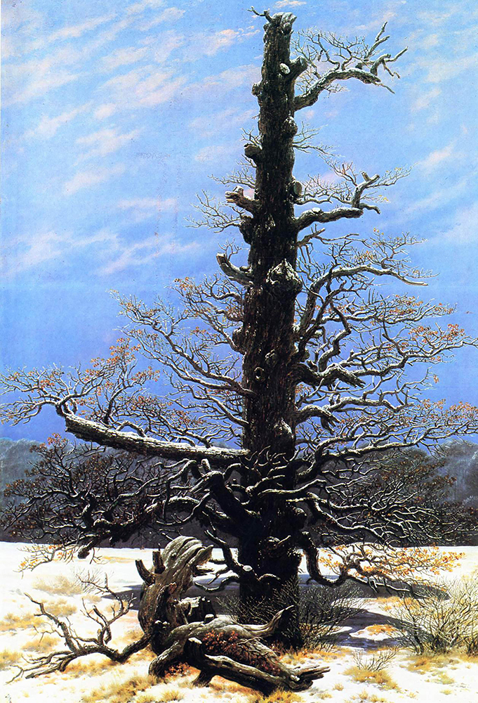 Caspar David Friedrich The Oaktree in the Snow (1829) oil painting reproduction