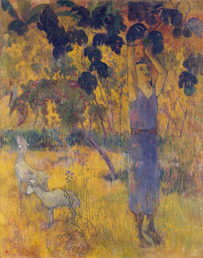 Paul Gauguin Man Picking Fruit from a Tree, 1897 oil painting reproduction