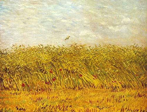 Vincent Van Gogh A Wheat Field oil painting reproduction