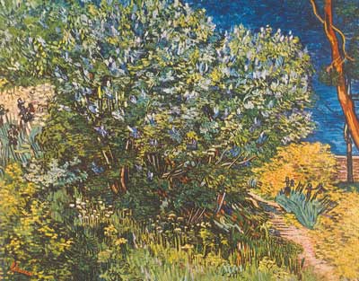 Vincent Van Gogh Lilac (Thick Impasto Paint) oil painting reproduction
