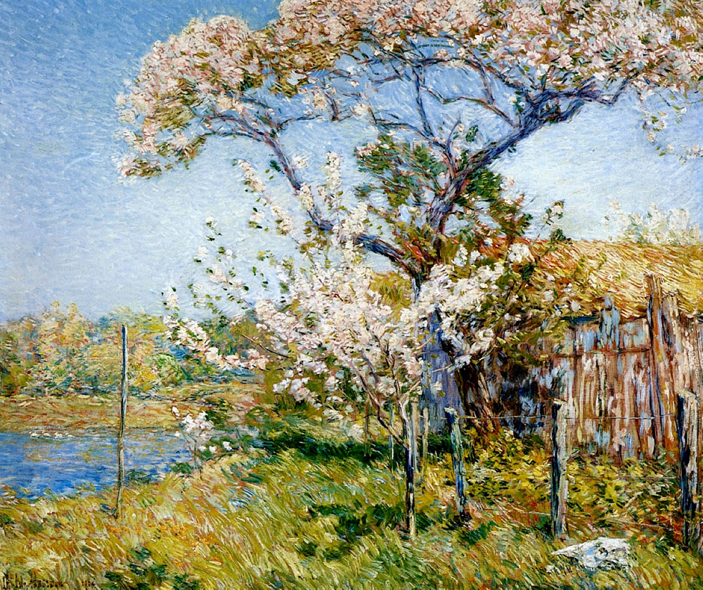 Frederick Childe Hassam Apple Trees in Bloom, Old Lyme, 1904 oil painting reproduction