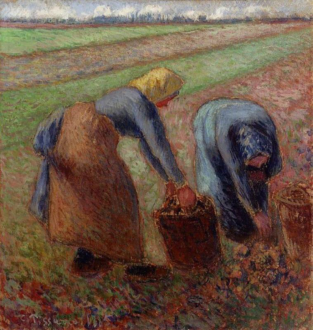 Camille Pissarro Potato Harvest, 1885 oil painting reproduction