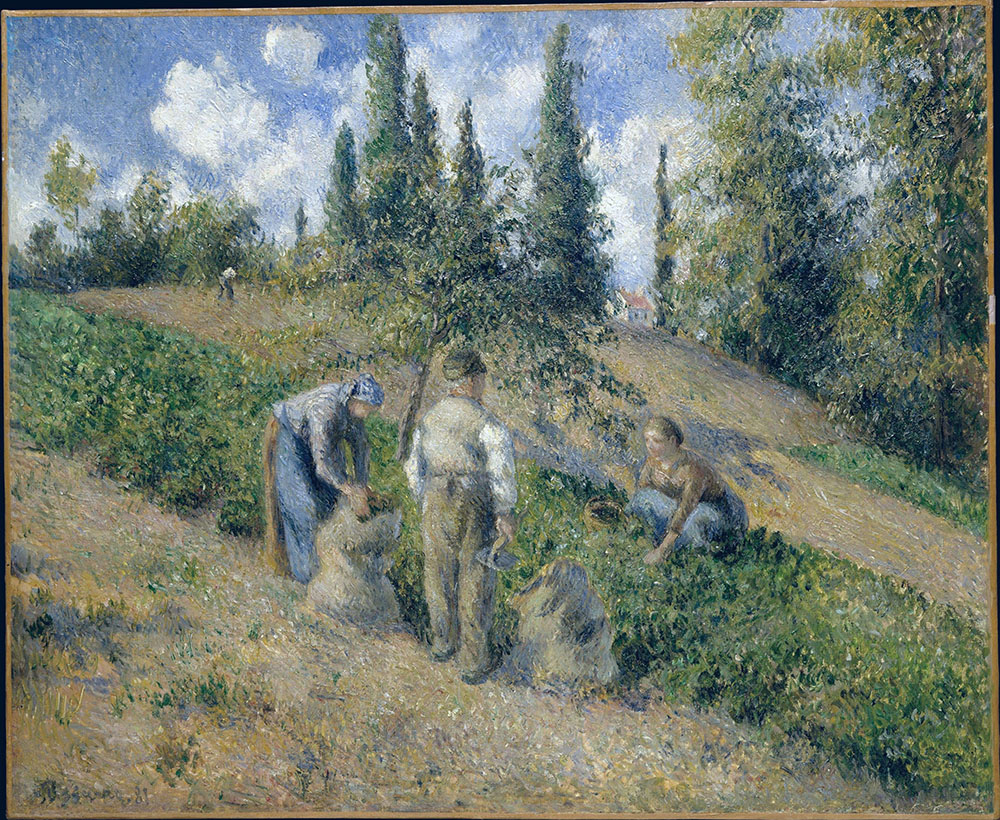 Camille Pissarro The Harvest, Pontoise, 1881 oil painting reproduction