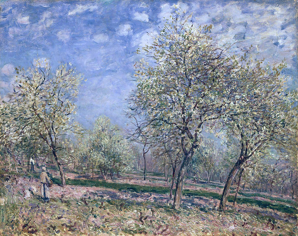 Alfred Sisley Apple Trees in Flower, 1880 oil painting reproduction