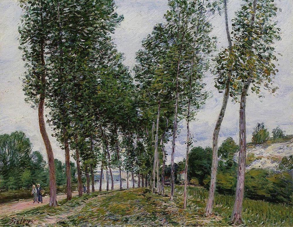 Alfred Sisley Lane of Poplars on the Banks of the Loing oil painting reproduction
