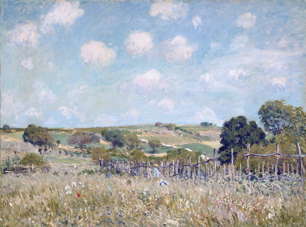 Alfred Sisley Meadow, 1875 oil painting reproduction