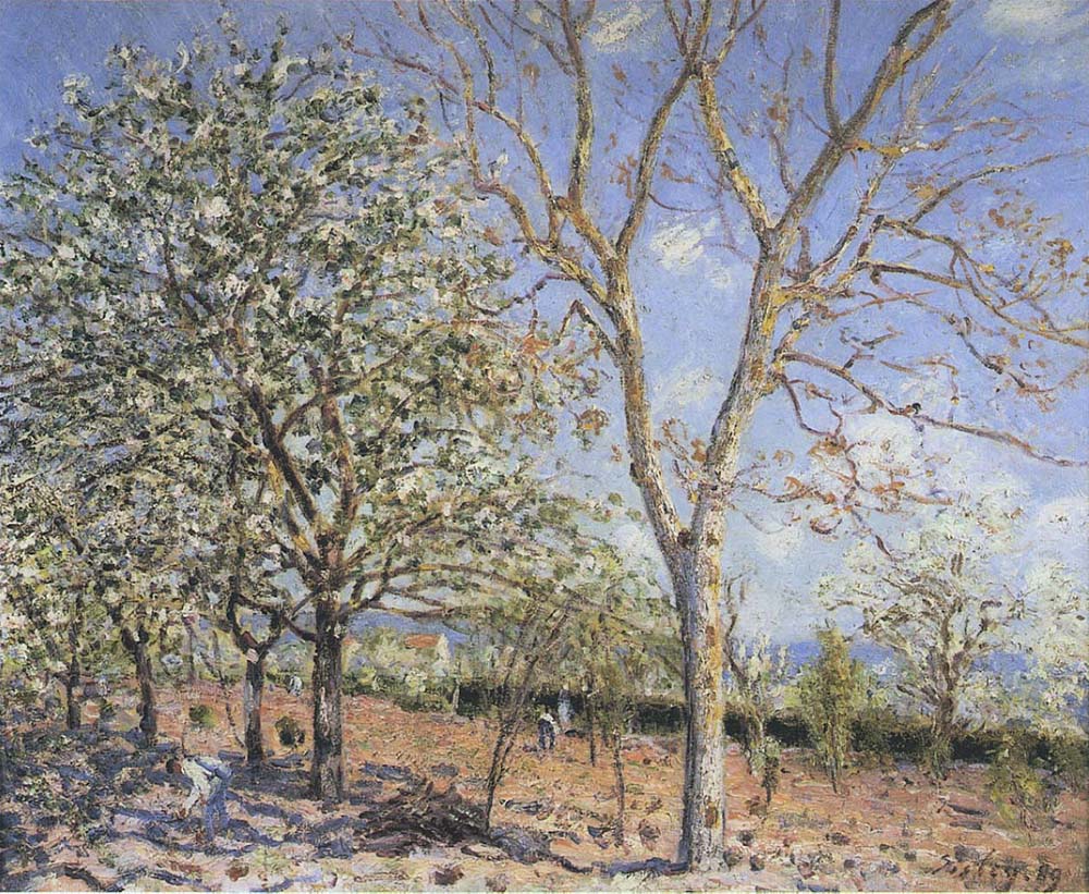 Alfred Sisley Plum and Walnut Trees in Spring, 1889 oil painting reproduction
