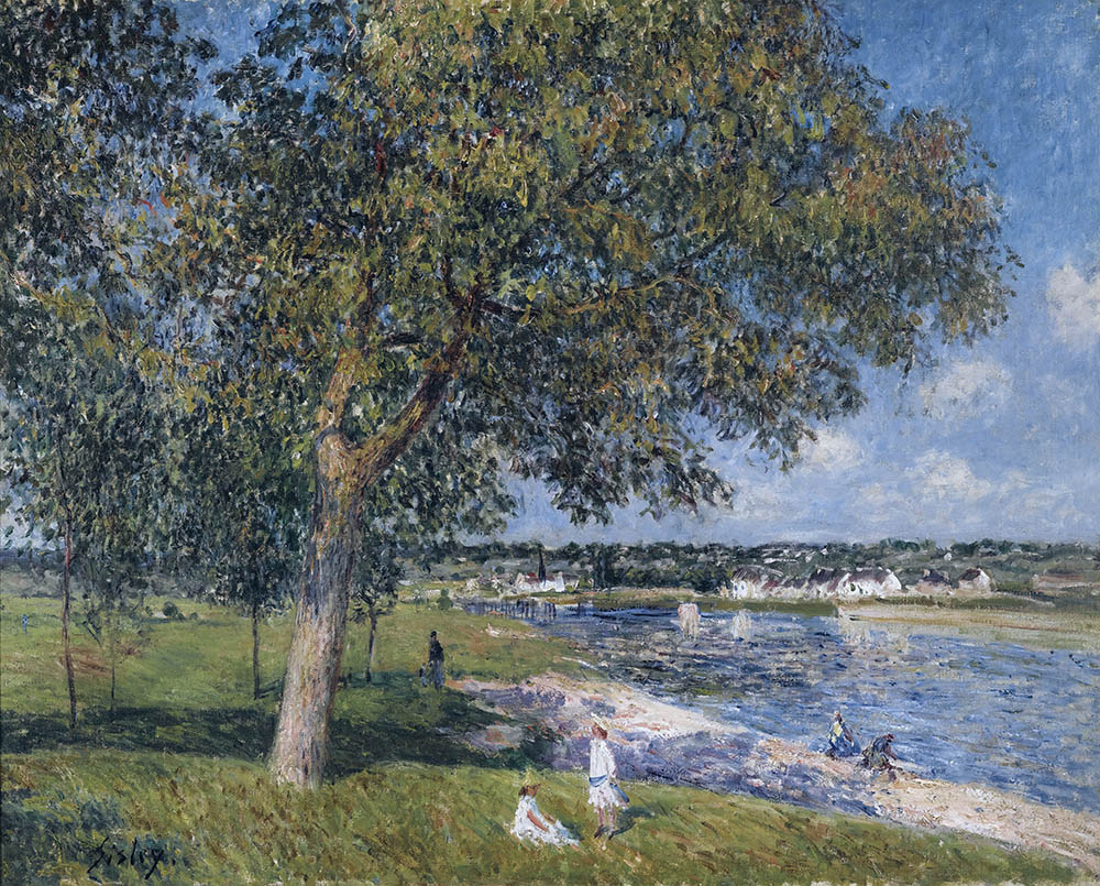 Alfred Sisley Walnut Tree in a Thomery Field oil painting reproduction