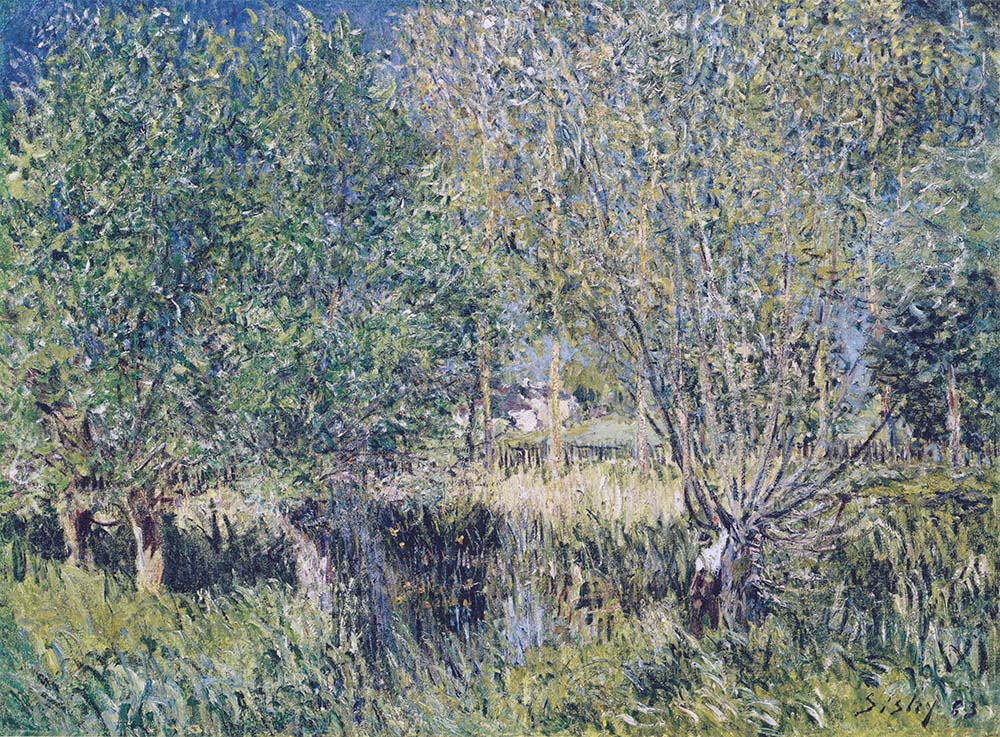 Alfred Sisley Willows on the Banks of the Orvanne, 1883 oil painting reproduction