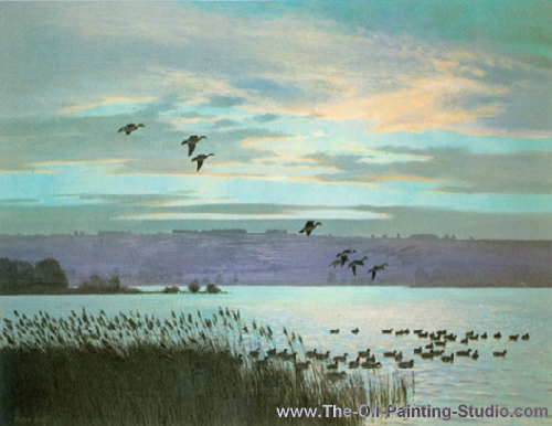 Wildlife Art - Birds - Wigeon at Dusk painting for sale Scott6
