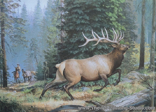 Sports Art - Hunting+ Shooting and Fishing - Idaho Bull painting for sale Smi6