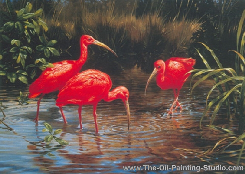 Wildlife Art - Birds - Scarlet Ibis painting for sale WL13