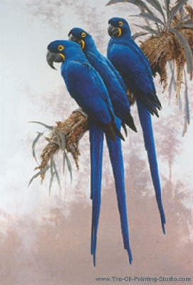 Wildlife Art - Birds - Macaws painting for sale WL2