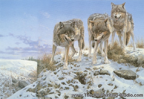 Wildlife Art - Wolves - High Ground - Wolves painting for sale WL25