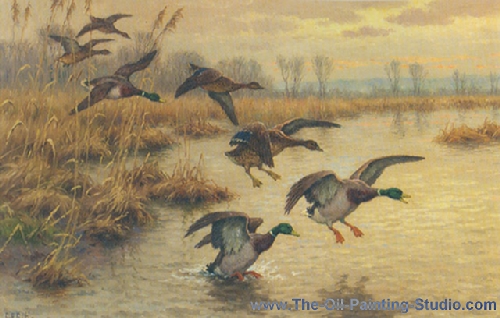 Wildlife Art - Birds - Wild Flight painting for sale WL4