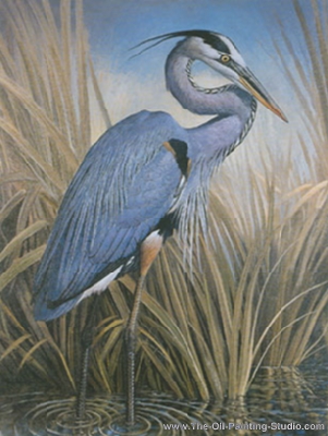 Wildlife Art - Birds - Great Blue Heron painting for sale WL5