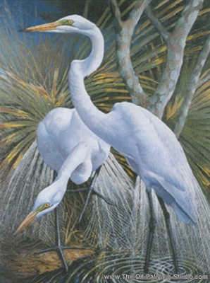 Wildlife Art - Birds - Great Egret painting for sale WL6