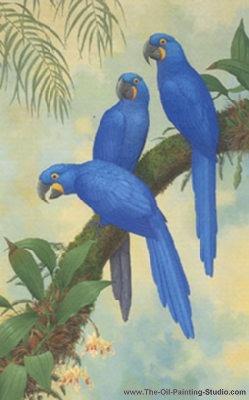 Wildlife Art - Birds - Group of Hycinth Macaws painting for sale WL8