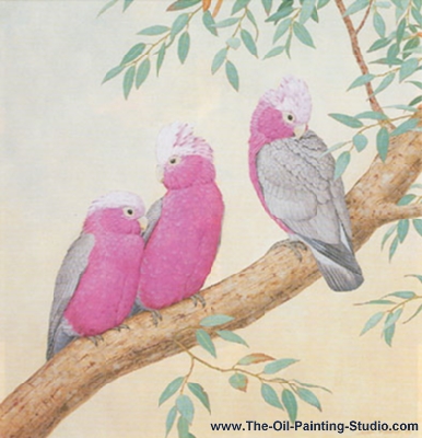 Wildlife Art - Birds - Galah Cockatoos in Eucalyptus painting for sale WL9