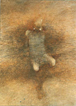 Zdzislaw Beksinski BEKSINSKI398 oil painting reproduction