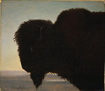 Albert Bierstadt Buffalo Head oil painting reproduction