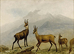 Albert Bierstadt Chamois oil painting reproduction