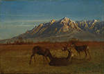 Albert Bierstadt Deer in Mountain Home oil painting reproduction