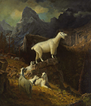 Albert Bierstadt Rocky Mountain Goats oil painting reproduction