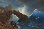 Albert Bierstadt Seals on the Rocks (1873) oil painting reproduction